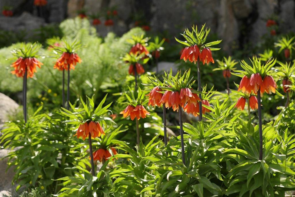 Halk arasında 'ağlayan gelin' olarak biliniyor. Görmek isteyenler kilometrelerce yol katediyor - Resim: 23